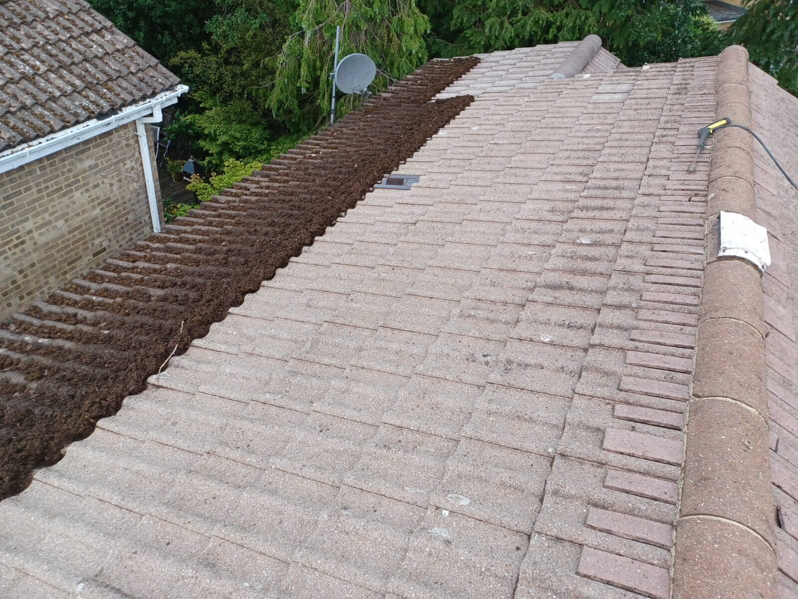 Bathroom plumbing repair